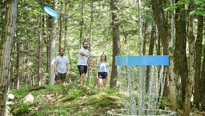 Severn Lodge Muskoka resort grounds with lakefront cottages and trees